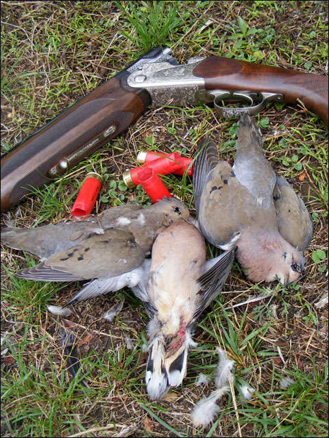 GunBirds