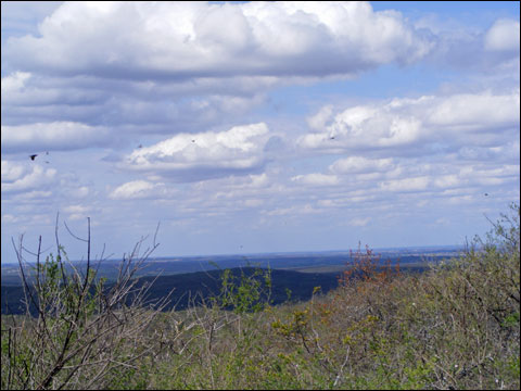 DSCF3303
