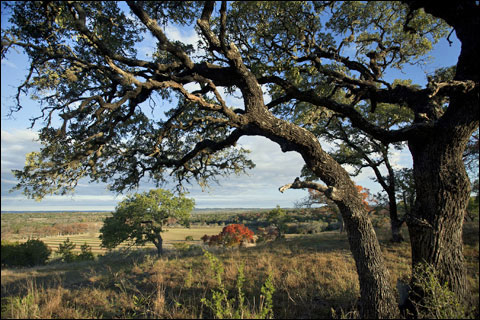 Joshua Creek Vista