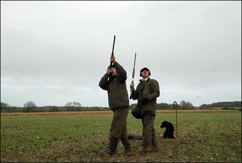 Little Haugh Hall Guns on Pegs