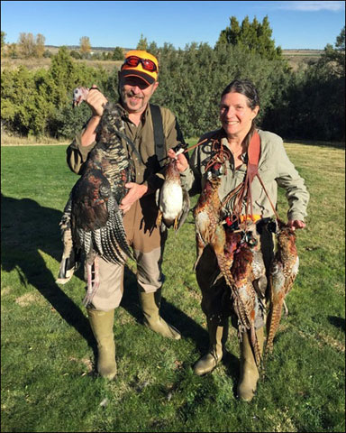 Pheasant couple