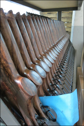 IMG 5712