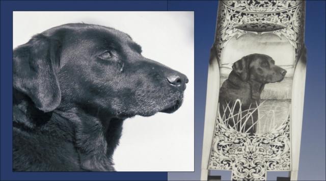 Black Lab