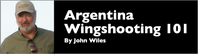ArgentinaWiles