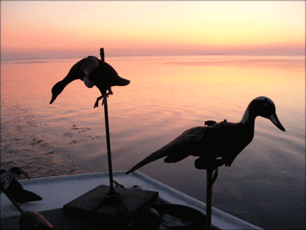 SunriseDecoys