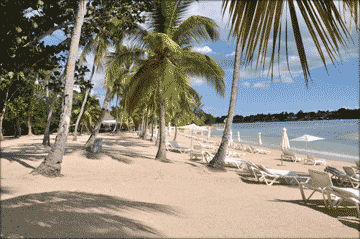 1114beach