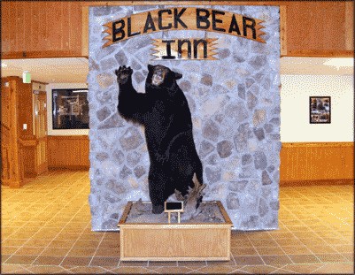Bear
