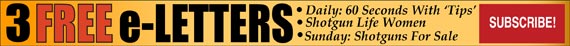 2-Free-e-letters