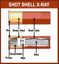 Shotgun Shell Ballistics Chart