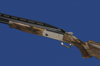 K80ProSporter