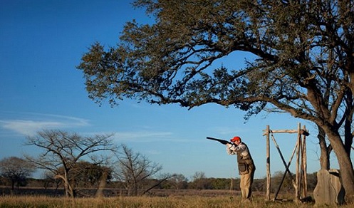 Sporting clays