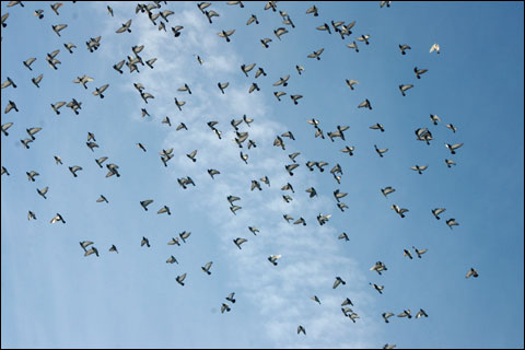 sky
