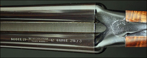 Model-21-top