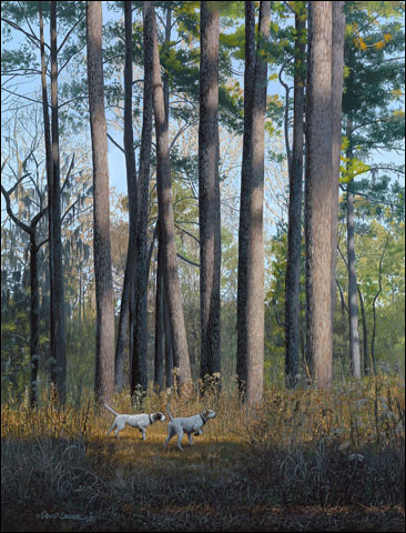 Under Tall Pines