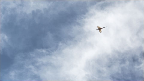 2F9A3274 2