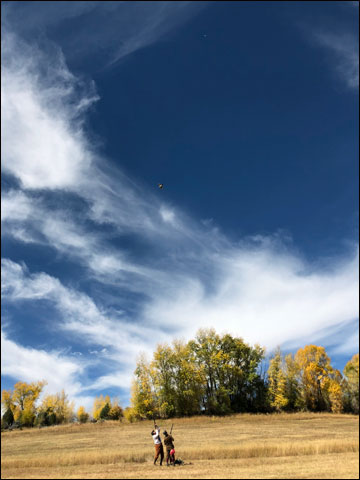 IMG 0898