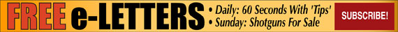 2-Free-e-letters