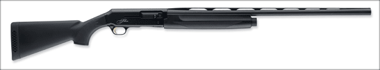 SilverBlack