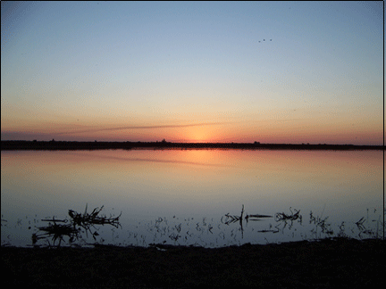 sunset