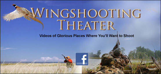 wingshooting-theater-logo