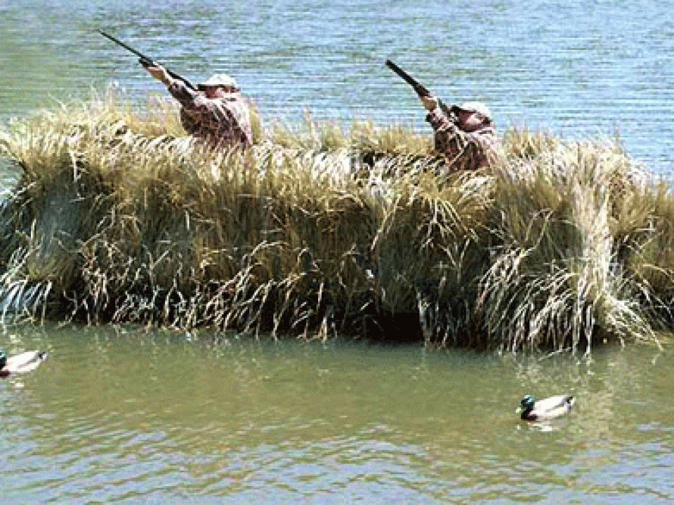 Waterfowl Gear and Game Calls