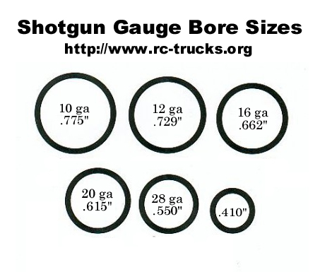 Shotgun Shells 3 shotgun bore sizes