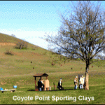 Coyote Point