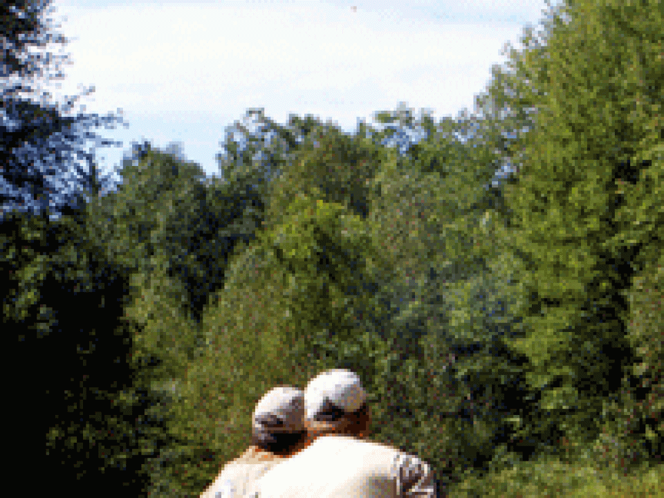 An Autumn Weekend of Shotgun Sports at Orvis Sandanona