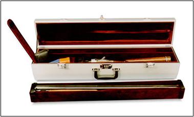 story1-sci-americase