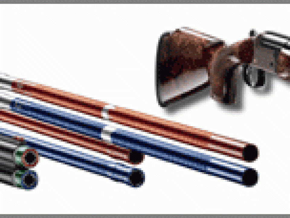 How I Shot With the Stars