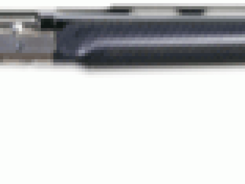 Peer Review: The Benelli Supersport 20-Gauge Semi-Auto