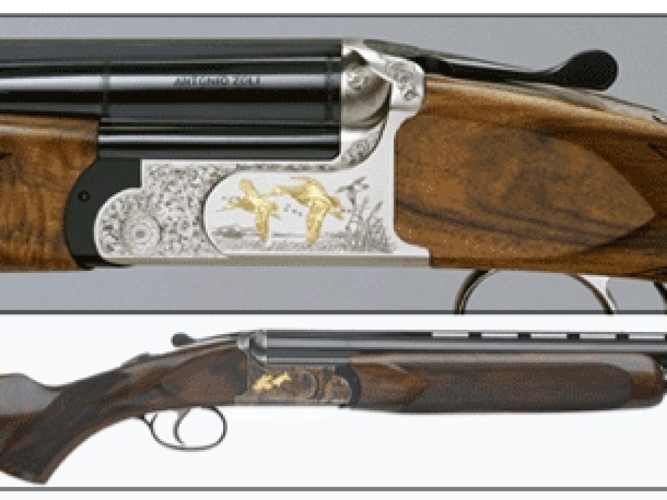 We Shoot the Zoli Columbus at the Whittington Center