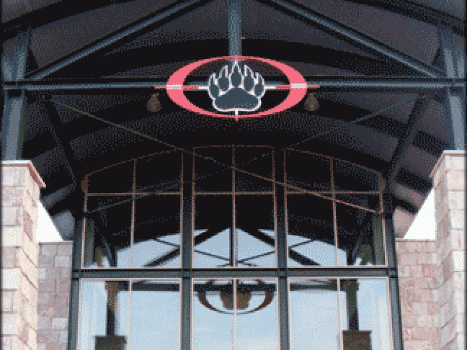 The Accidental Commando