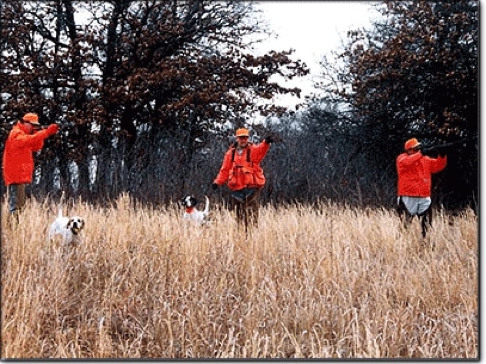 My Kansas  Dream Hunt With Lee Horsley