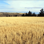 landscapeINSIDE