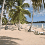 1114beach