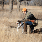 hunter-brittany-pup