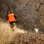 man-dog-bird-hunting