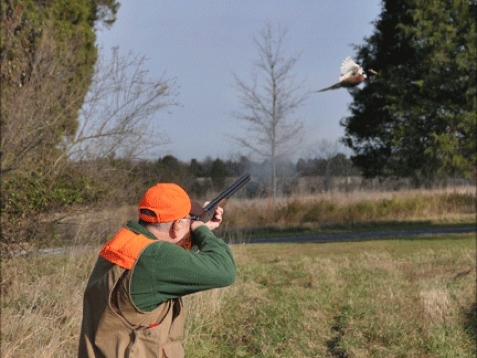 A Journey of Reverence: Shooting a Holland & Holland Royal