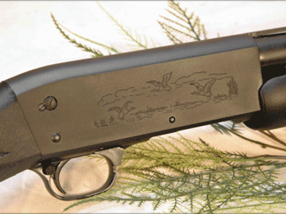 New Ithaca Waterfowl 12 Gauge on the Horizon