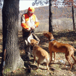 FeedingDogs