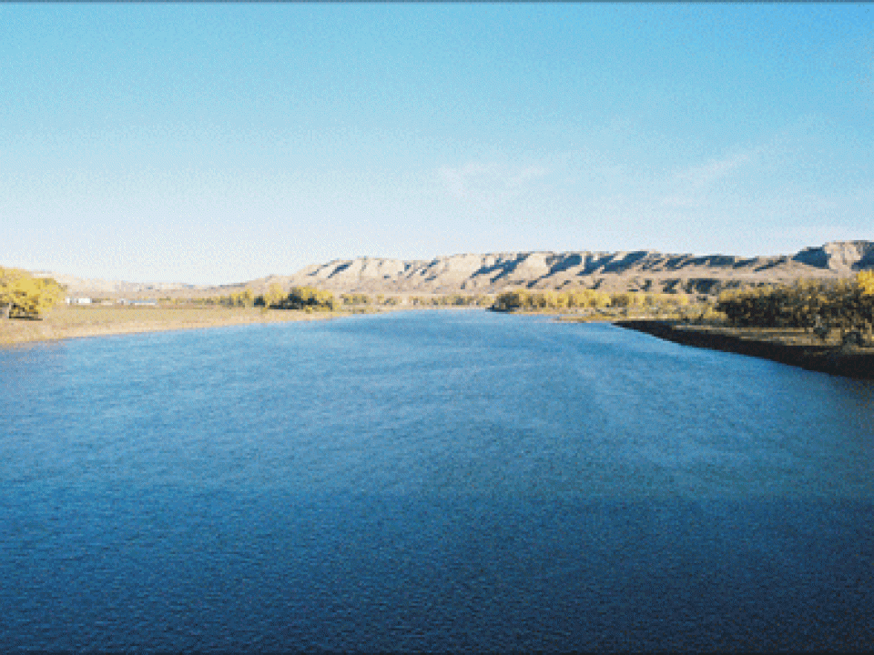 Montana  Pheasants… just stay on the porch