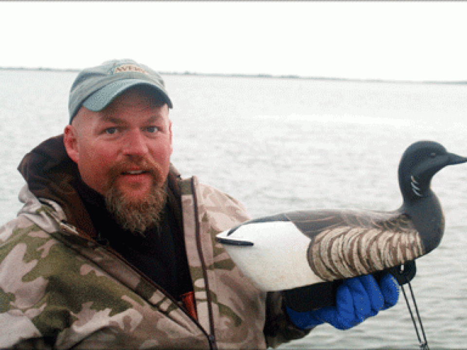 Ode to the Atlantic Brant