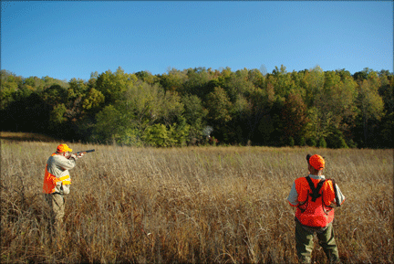 Paradise Found: Quail Shooting in Bucksnort 3 2-hunters