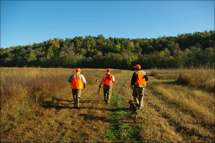 Paradise Found: Quail Shooting in Bucksnort 1 3-hunters-dog