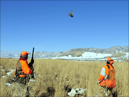 Castle Valley Outdoors 4 2guys-wdog