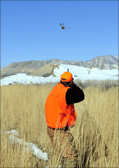 Castle Valley Outdoors 3 iguyb