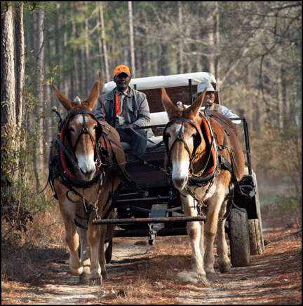 Beretta Trident Program Designates Excellence in Hunting and Shooting Venues by Announcing its First Destinations 2 PHWagon-1