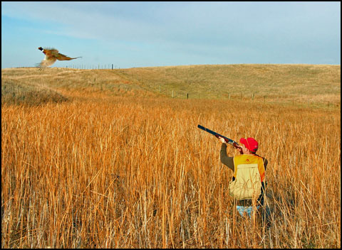 hunter-and-pheasant