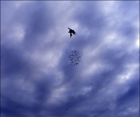 Cheyenne Ridge Signature Lodge: Pheasants Gone Wild Hunted With the Newest Beretta Semi-Auto 5 DSCF1821